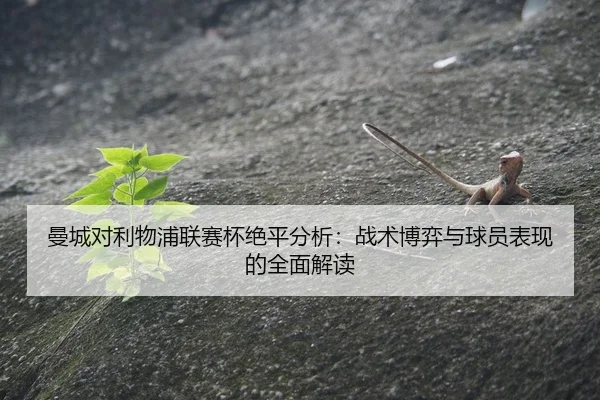 man-cheng-dui-li-wu-pu-lian-sai-bei-jue-ping-fen-xi-zhan-shu-bo-yi-yu-qiu-yuan-biao-xian-de-quan-mian-jie-du-2-392.jpg